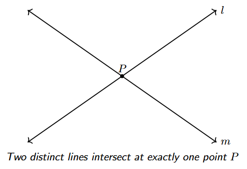 Two distinct lines, labeled l and m, are shown crossing each other at a single, clearly marked point P.